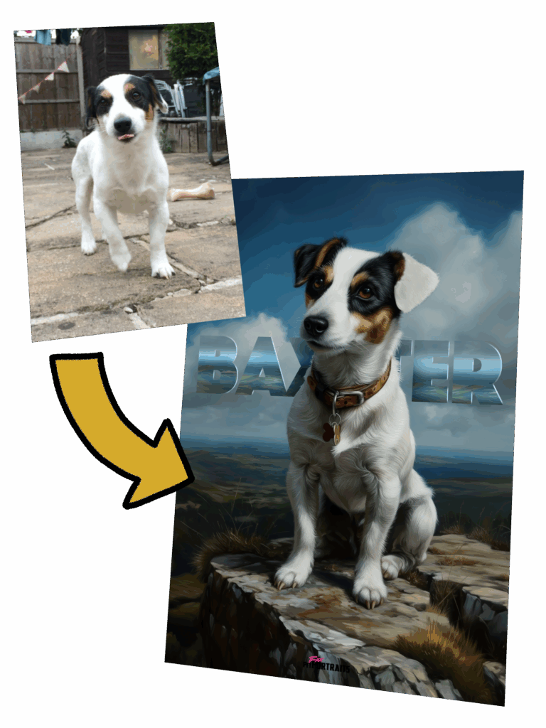 Illustrattransformation example